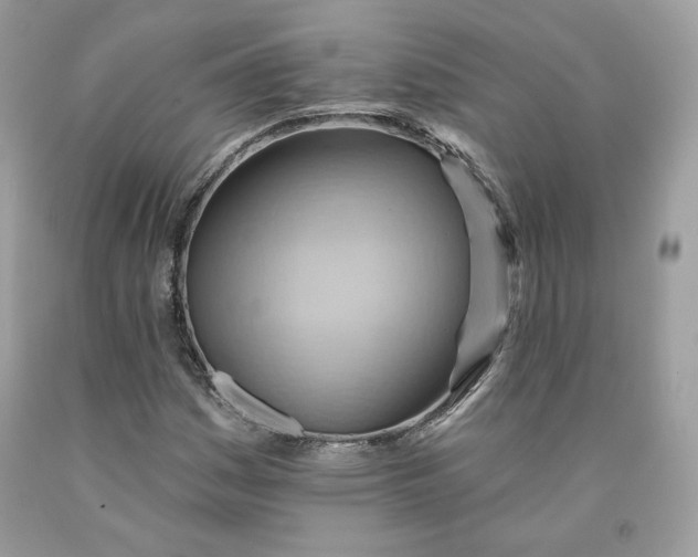 X0000091581161200709101012