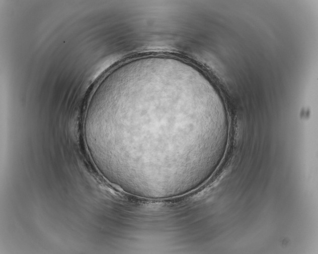 X0000091581162200709101012