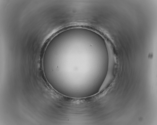 X0000091581165200709101012