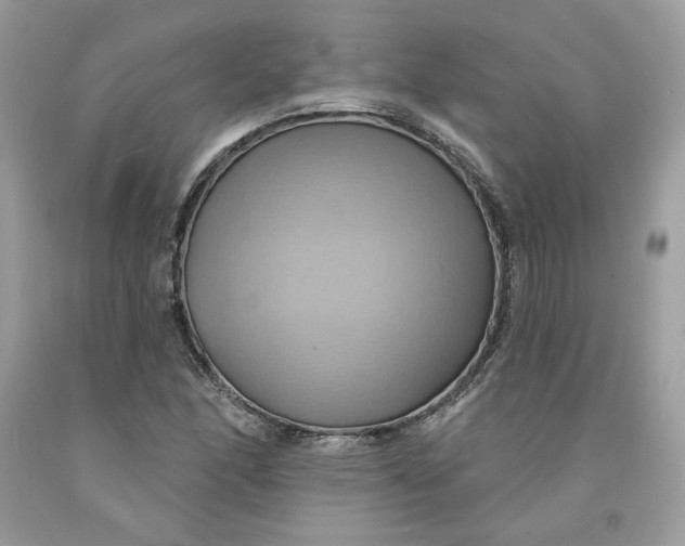 X0000091581166200709101012