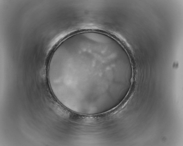 X0000091581167200709101012