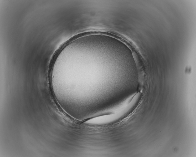 X0000091581168200709101012