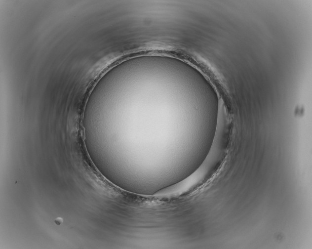 X0000091581169200709101012