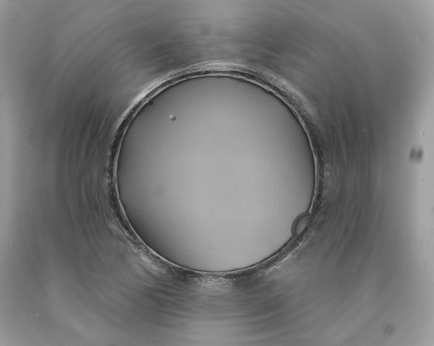 X0000091581170200709101012