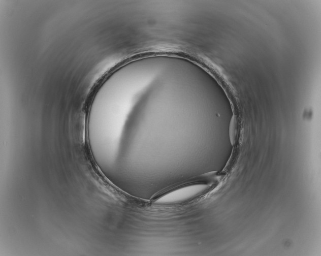 X0000091581171200709101012