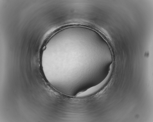 X0000091581172200709101012