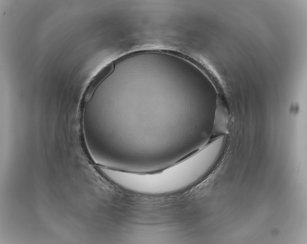 X0000091581173200709101012