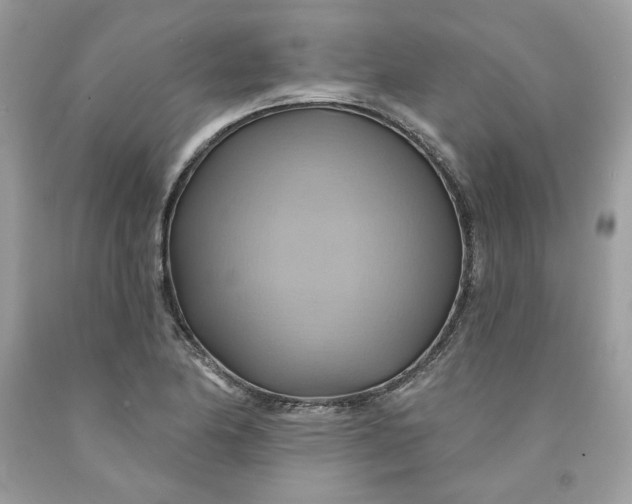 X0000091581174200709101012