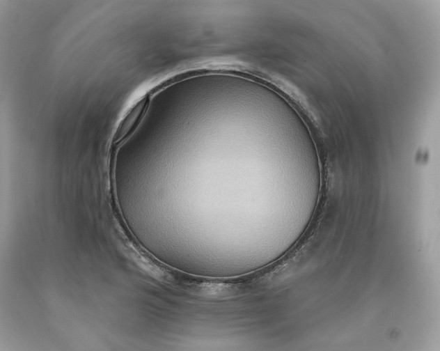 X0000091581176200709101012