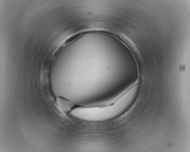 X0000091581177200709101012