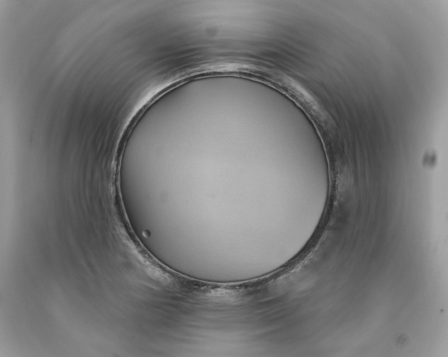 X0000091581178200709101012