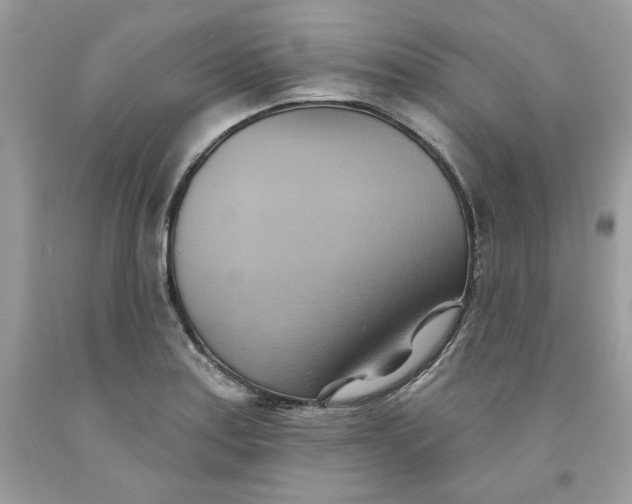 X0000091581179200709101012