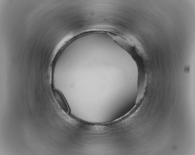 X0000091581180200709101012