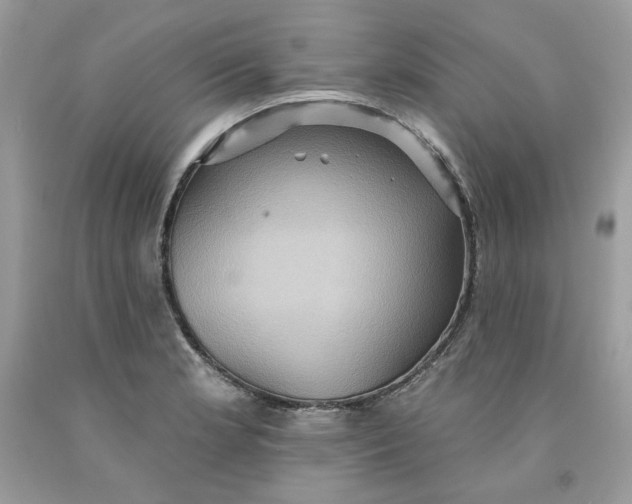 X0000091581181200709101012