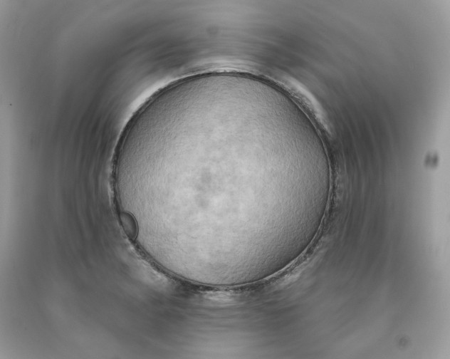 X0000091581182200709101012