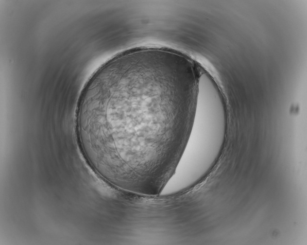 X0000091581183200709101012