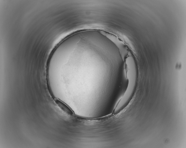 X0000091581184200709101012