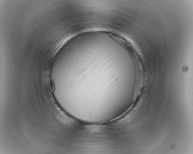 X0000091581185200709101012