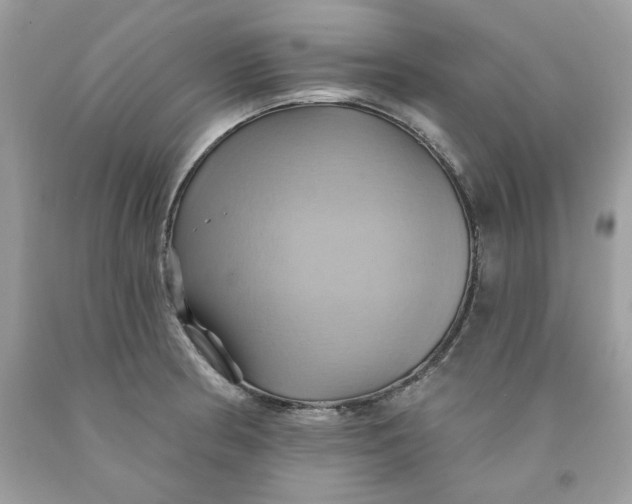 X0000091581186200709101012