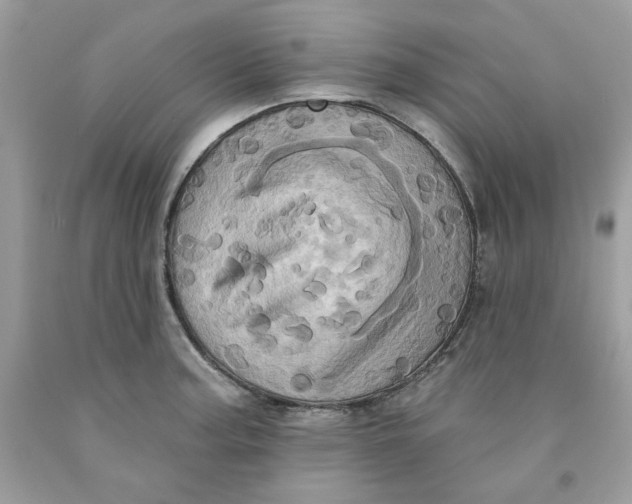 X0000091581187200709101012