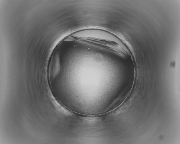 X0000091581189200709101012