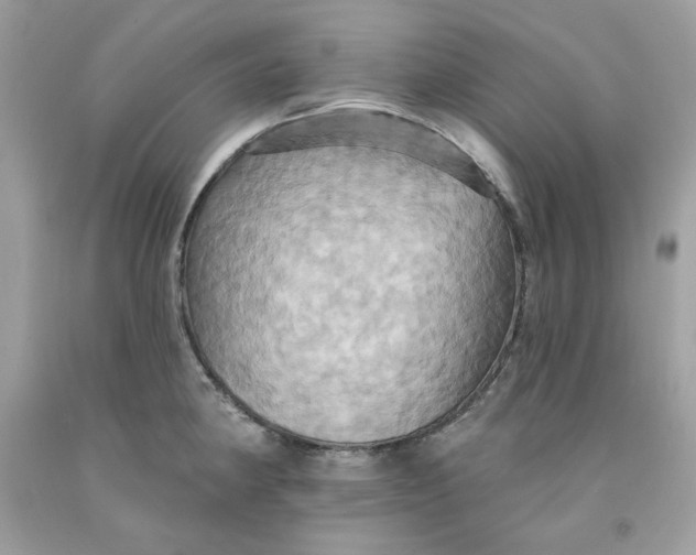 X0000091581190200709101012