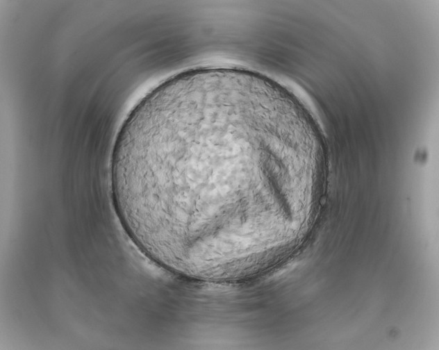 X0000091581191200709101012