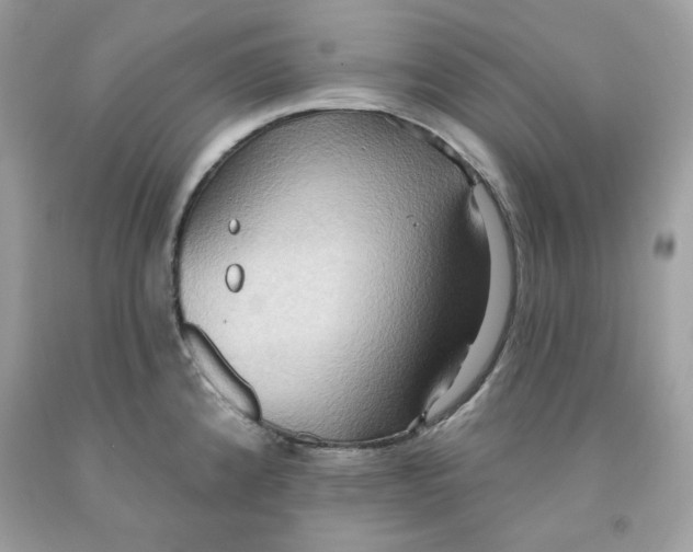 X0000091581192200709101012