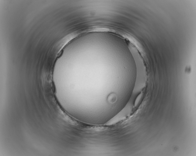 X0000091581193200709101012