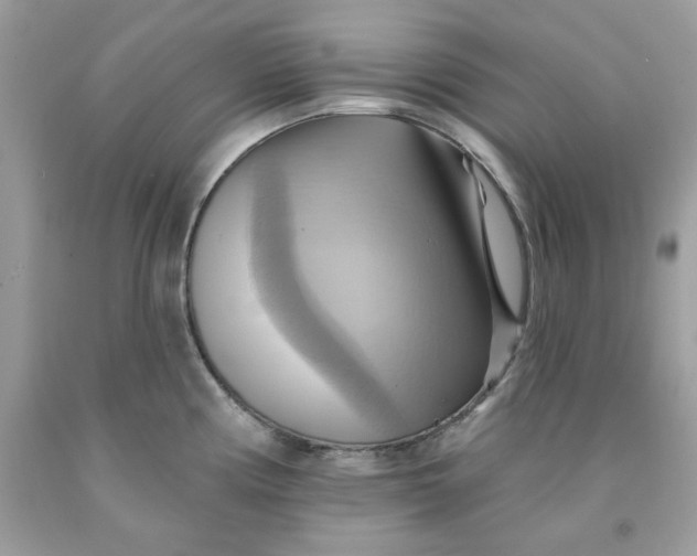 X0000091581194200709101012