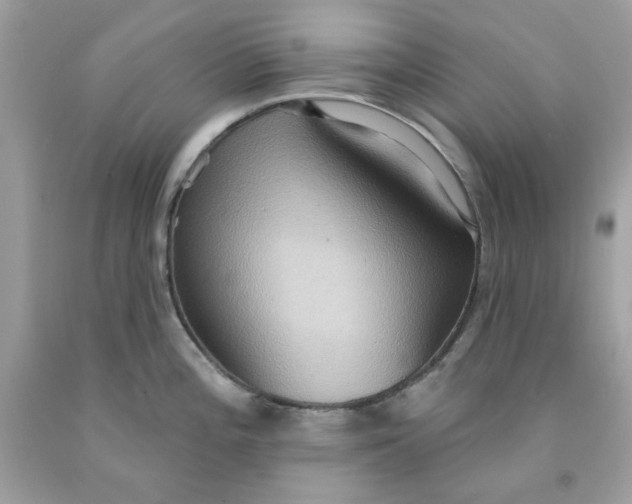 X0000091581196200709101012