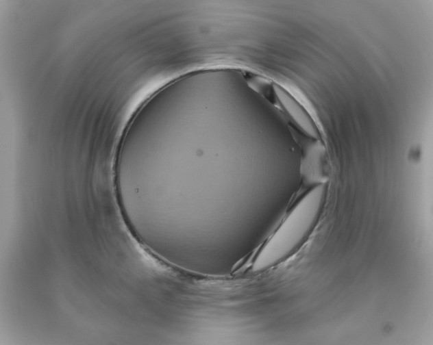 X0000091581197200709101012