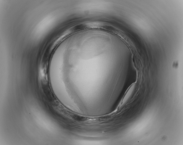 X0000091581198200709101011