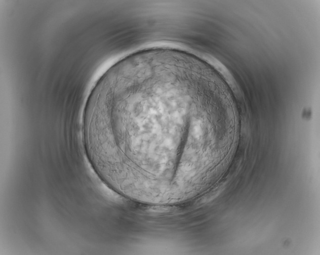 X0000091581199200709101011