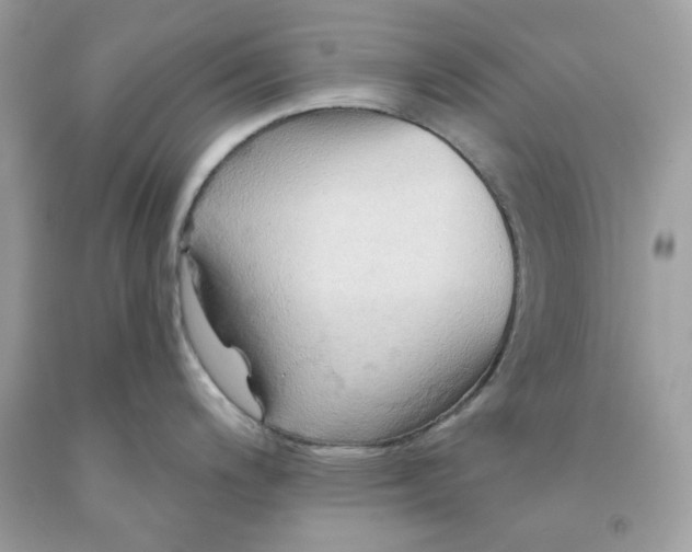 X0000091581200200709101011