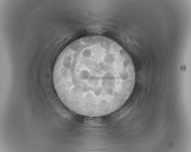 X0000091581201200709101011