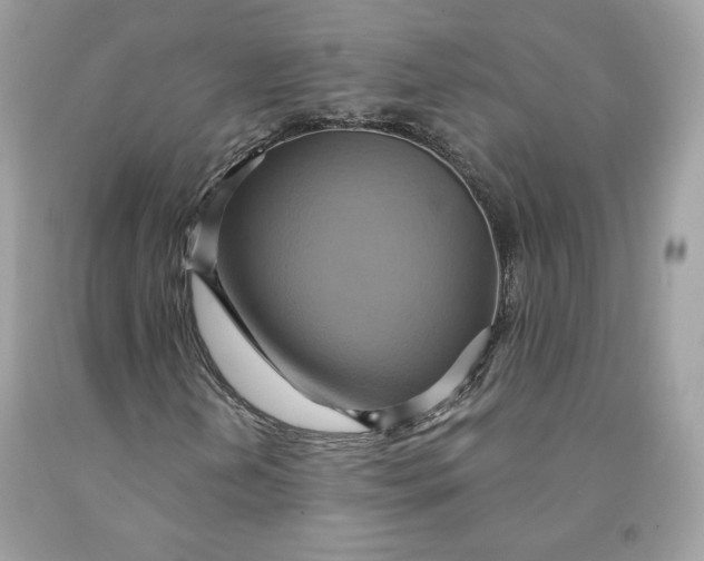 X0000091581202200709101011