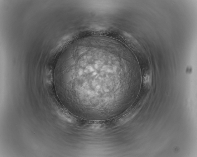 X0000091581204200709101011