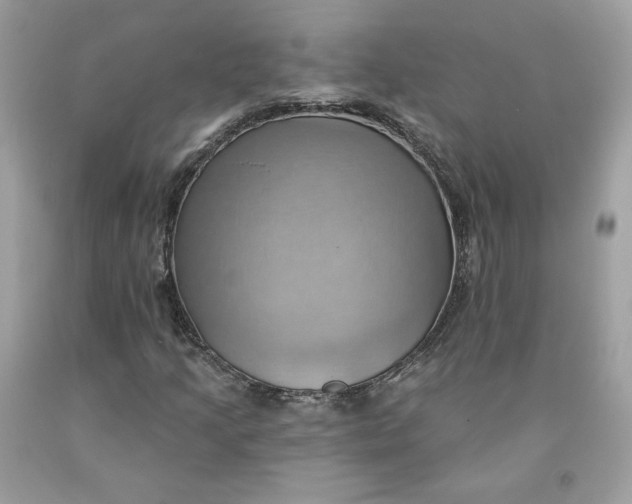 X0000091581205200709101011