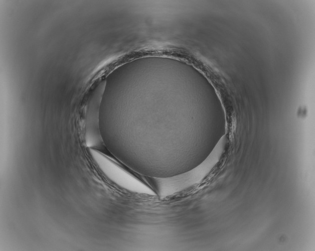 X0000091581206200709101011