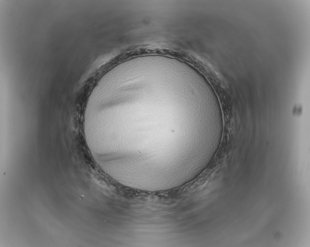 X0000091581207200709101011