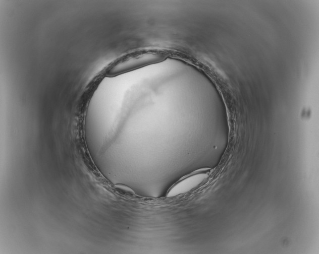 X0000091581208200709101011