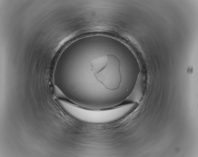 X0000091581210200709101011