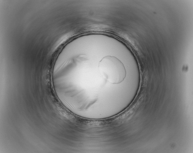 X0000091581211200709101011