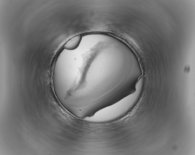 X0000091581212200709101011