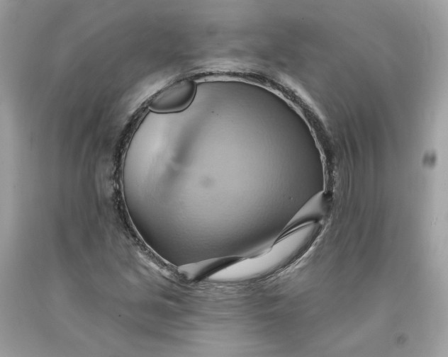 X0000091581213200709101011