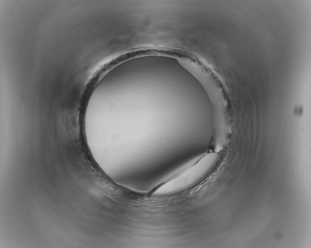 X0000091581214200709101011