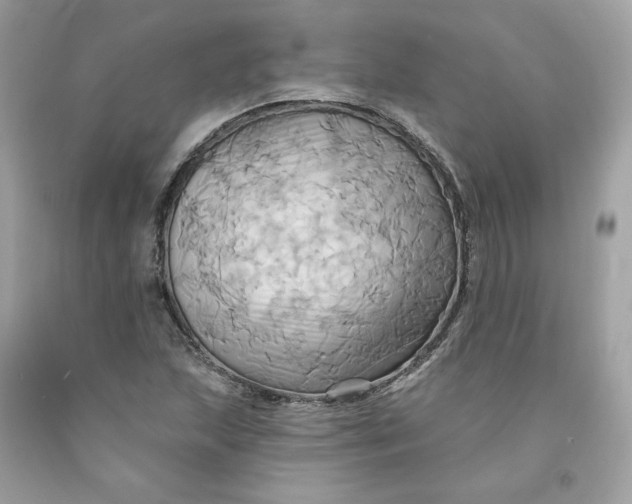 X0000091581215200709101011