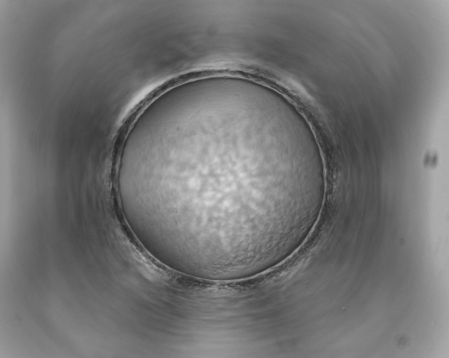 X0000091581216200709101011