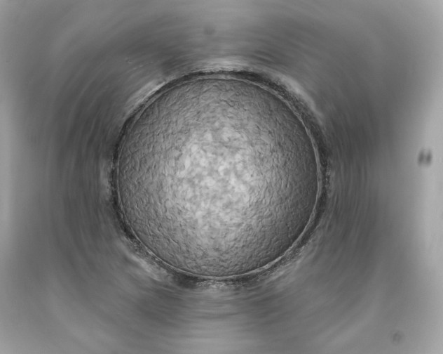 X0000091581217200709101011